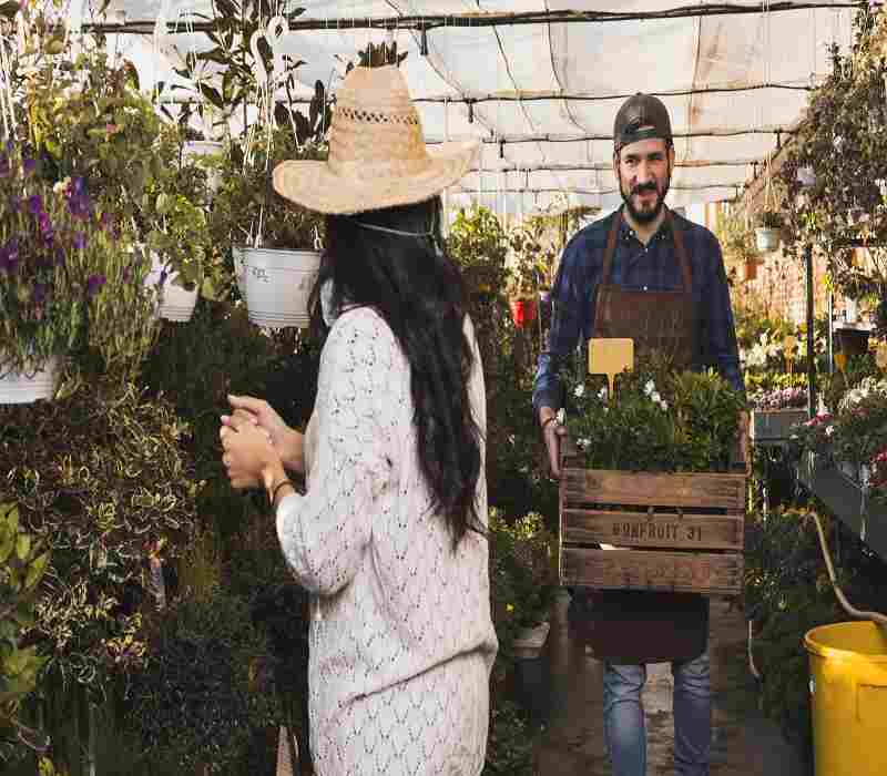 Garden Advice Homenumental – A Complete Informational Guide for Every Gardener